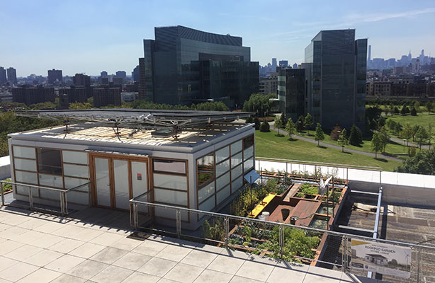 Aerial view - Solar RoofPod and Urban Farm with CCNY South Campus in background, summer 2016