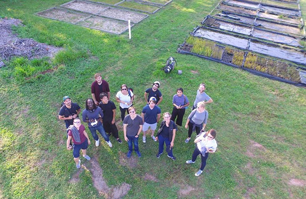 aerial group photo