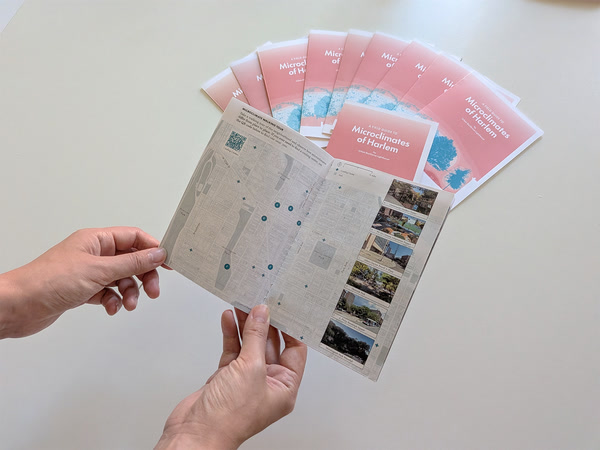 Hands holding an open pamphlet titled A Field Guide to Microclimates of Harlem, revealing a map and photo panels inside, with a fan of identical folded booklets stacked in the background on a light surface.