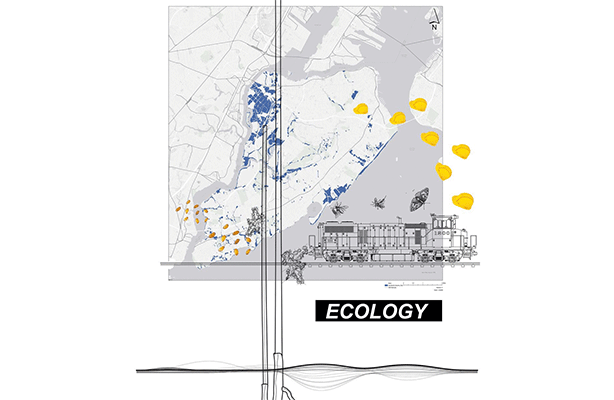 graphic - NYC map highlighting ecology