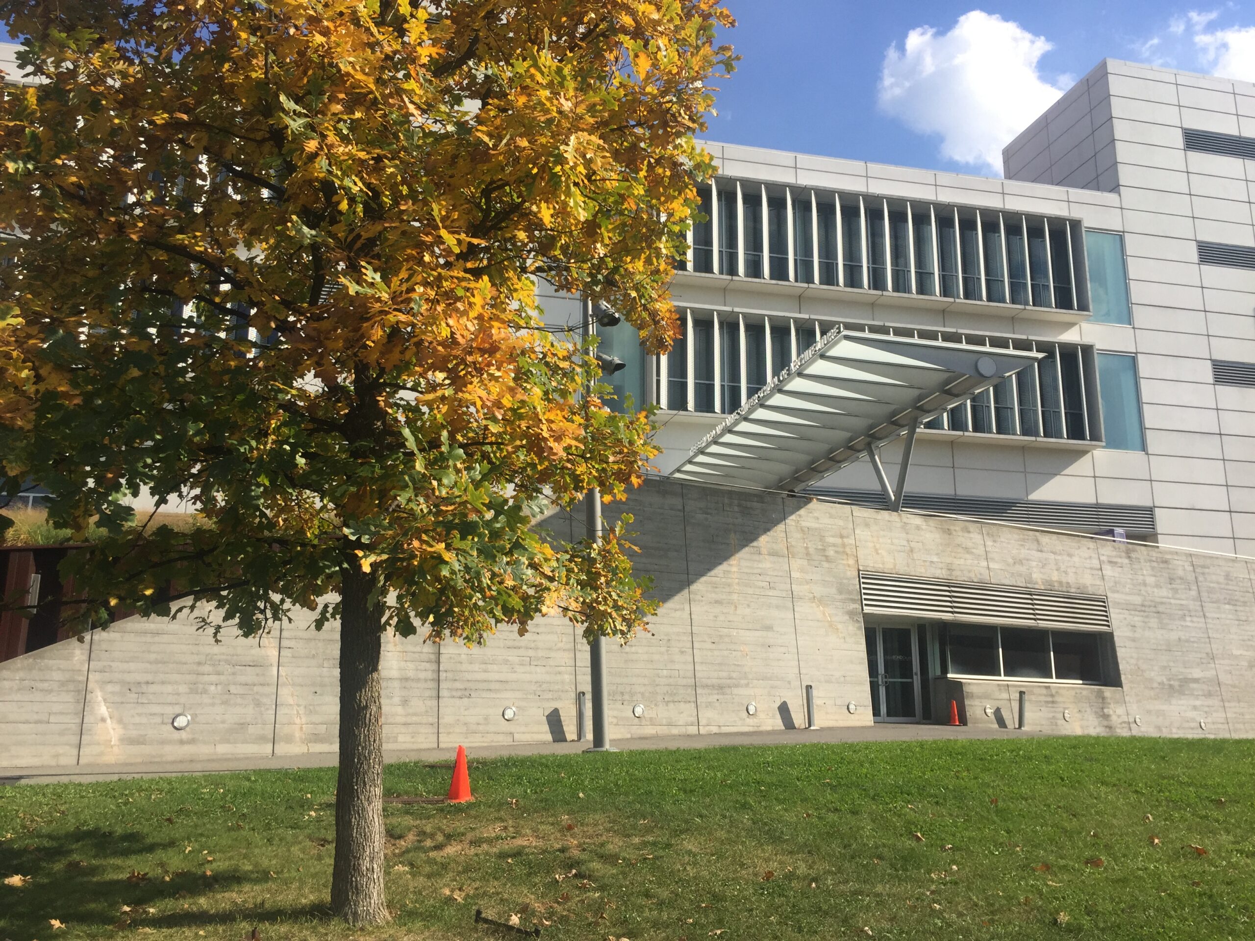Photograph of tree, grass field, and the Spitzer School of Architecture building.