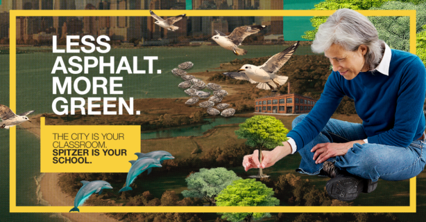 Spitzer is Your Classroom Ad - MLA